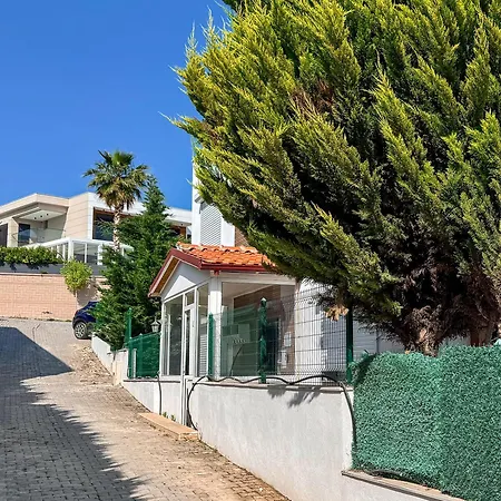 Zeytin * Kusadası